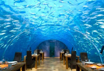 ithaa_undersea_restaurant