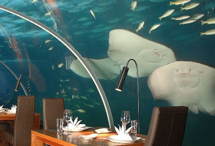 restaurant subacvatic