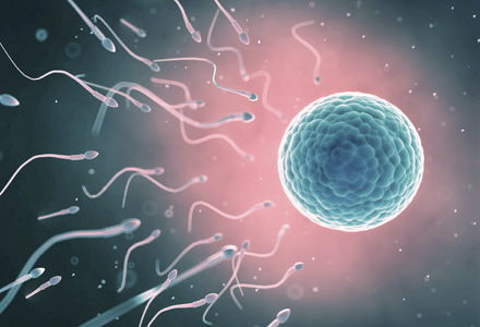 fertilitatea la femei si barbati