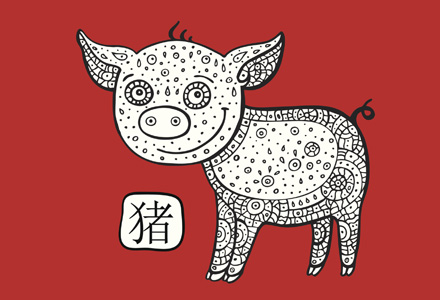 zodia Porc