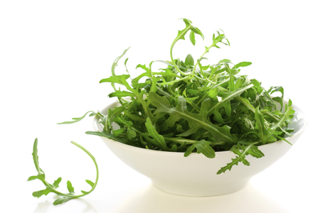 rucola