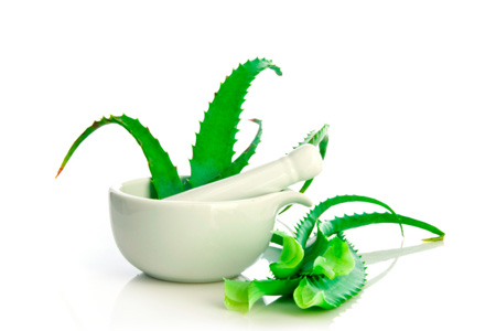 beneficiile plantei aloe vera