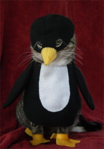 pisica_costum_de_pinguin