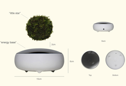 bonsai_plutitor_schema