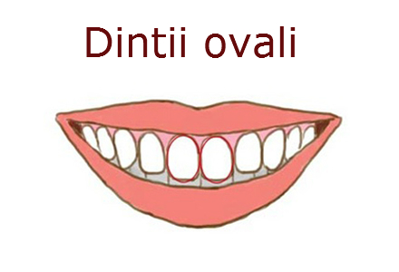 forma dintilor