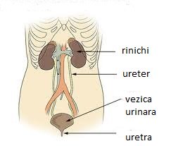 Infecție de tract urinar