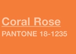 poza culoare coral rose pantone