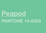 poza peapod pantone