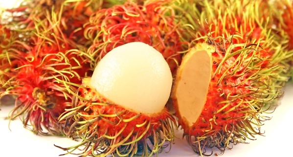 poza fruct exotic rambutan