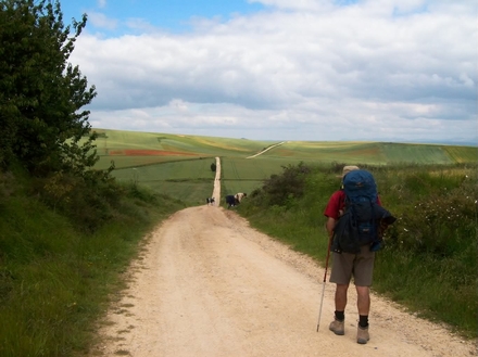 Camino, de Veronica Dragoi