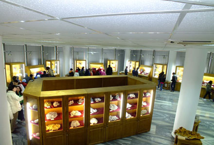  muzeul de mineralogie din Baia Mare