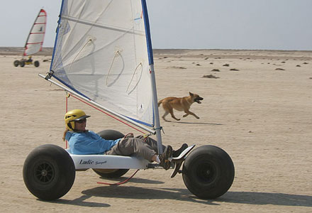  navigat pe uscat