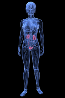 duplicitate ureterala