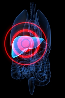 adenom hepatic