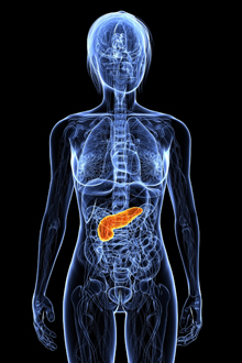 cancer pancreatic