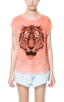 tiger