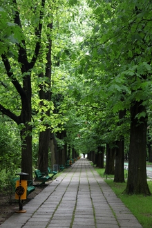 parc herastrau plimbare relaxare statui monumente