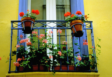 balcon flori plante terasa