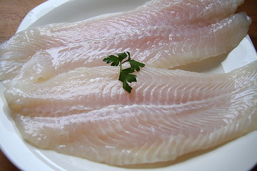 File pangasius la gratar