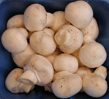 Ciuperci murate