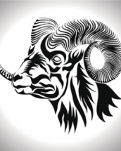 Barbatul Capricorn in dragoste si in viata
