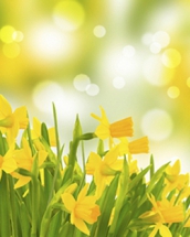 10 superstitii de Florii si semnificatia lor
