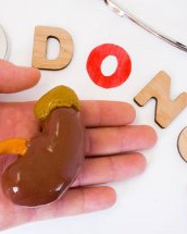 De câte ori poate fi donat un rinichi