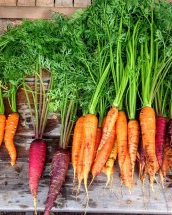 Multi-vitamine intr-o salata de morcovi