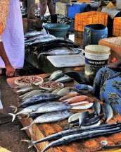 7 indicii simple să alegi din piață un pește proaspăt