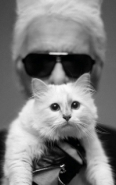 Designerul casei Chanel a creat o colectie inspirata de pisica sa