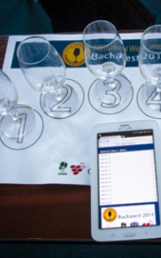 Un vin rosu sec si un vinars au luat Marea Medalie de Aur la  International Wine Contest Bucharest 2014! 