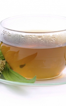 Beneficiile consumului ceaiului de patlagina