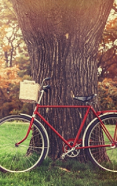 Role sau bicicleta? Cum arzi mai multe calorii? 