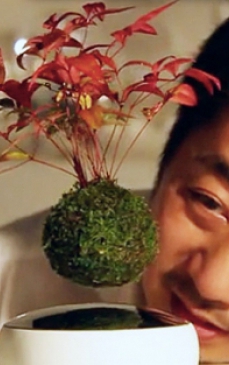 Japonezii au inventat bonsaiul care pluteste. Vezi cum arata! 