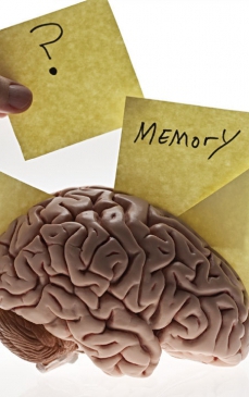 6 medicamente pentru memorie