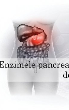 Enzime pancreatice: tot ce trebuie să știi despre ele