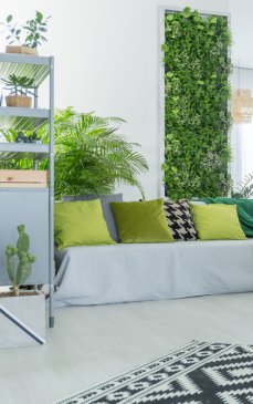 7 tipuri de plante ieșite din comun pentru un decor cu adevărat deosebit
