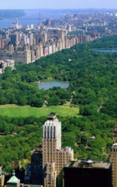 Inspira-te din New York, paradisul locuintelor urbane