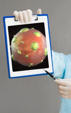 Hantavirus: cum se manifestă virusul și când poate fi mortal?