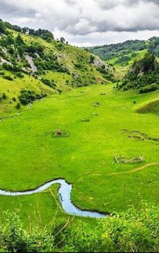 "Palma lui Dumnezeu", locul din România care fascinează o planetă întreagă. Cum arată și unde se găsește