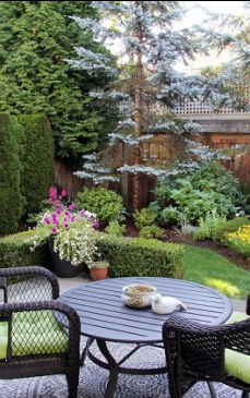 Amenajarea colțului de relaxare din curte: idei practice pentru grădina ta