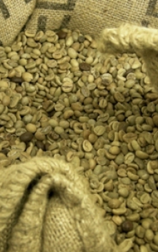 Green Coffee Bean Max, produsul minune pentru silueta