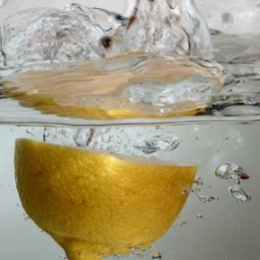 Lamaia Beneficii Si Utilizari Ale Lamaiei