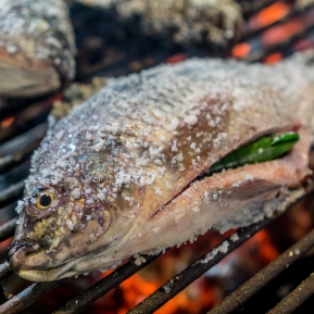 Miros De PeÈte Divahair Ro