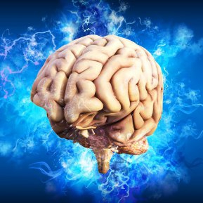 Cum te ajută amigdala cerebrală în situații-limită