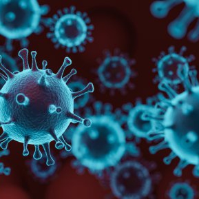 Ce se întâmplă în organism când coronavirusul pune stăpânire pe corp