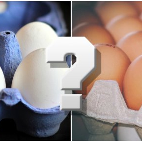 Ouăle albe sau maro? Care sunt cele mai sănatoase și care este diferența dintre ele