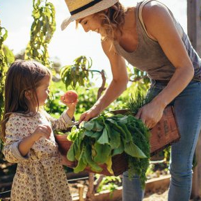 4 beneficii nebănuite ale grădinăritului