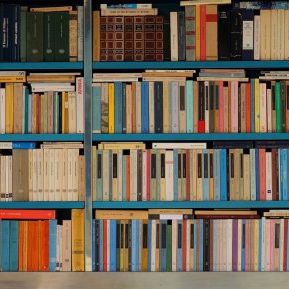 Cum poți vinde o bibliotecă întreagă de cărți într-o singură zi?