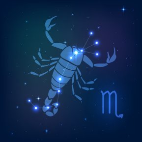 Dușmanii de moarte ai Scorpionului! Cu cine nu se poate înțelege niciodată